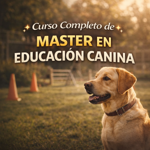 cani Curso Master en Educación y Entrenamiento Canino Desde Cero